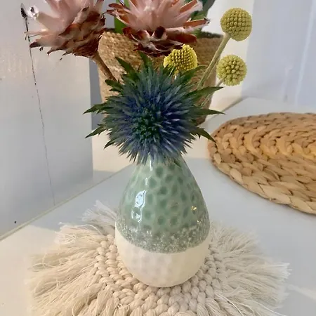 Apt8 - Broetzingen Dg *